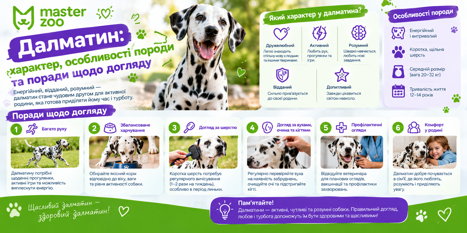 Інфографіка | MasterZoo