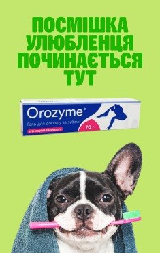 Посмішка улюбленця починається тут