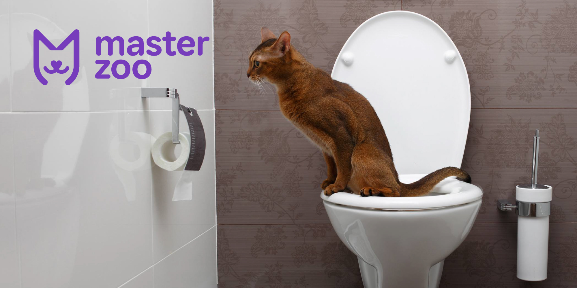 як відучити кота робити шкоду| MasterZoo