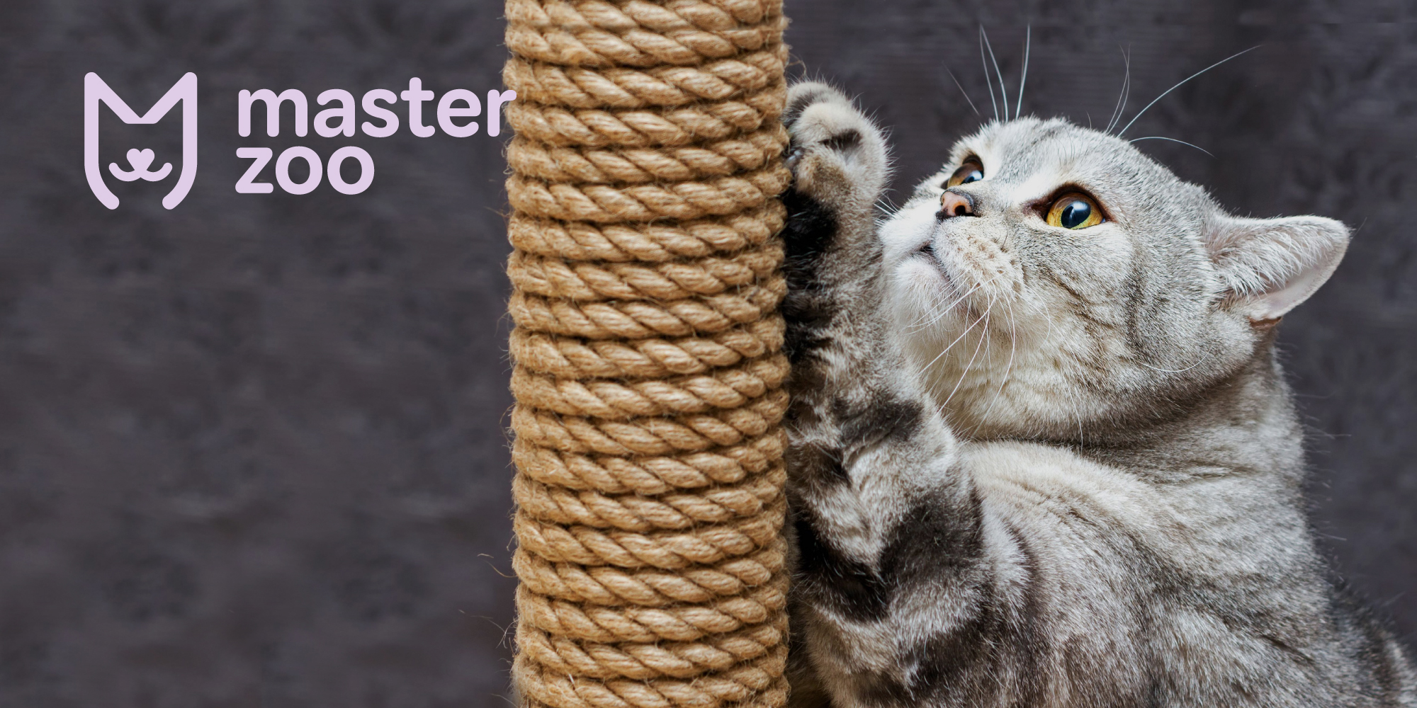 Кігтеточки для котів | MasterZoo