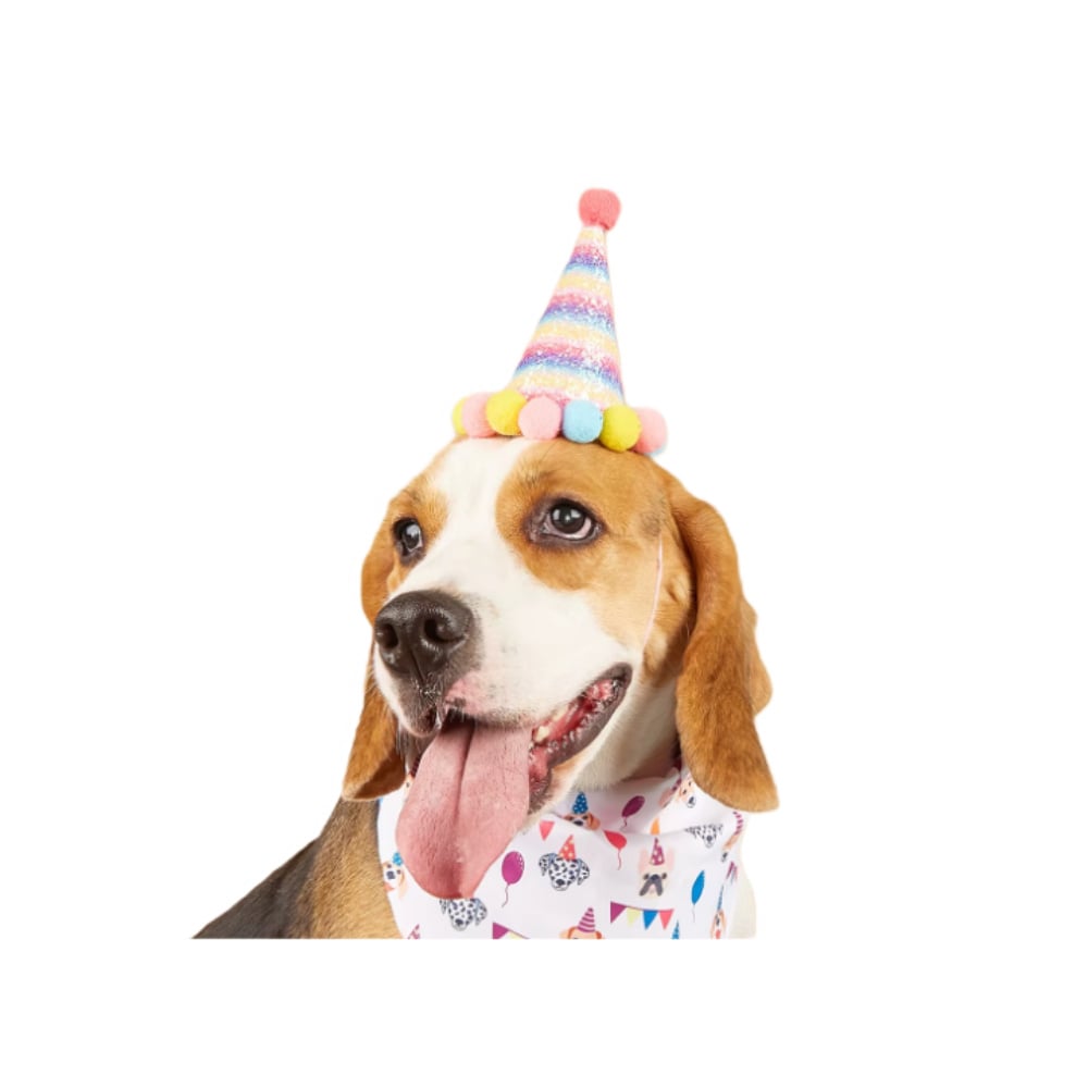Праздничный колпак для собак Pet Fun 11х9 см - модель в ассортименте Праздничный колпак для собак Pet Fun 11х9 см - модель в ассортименте