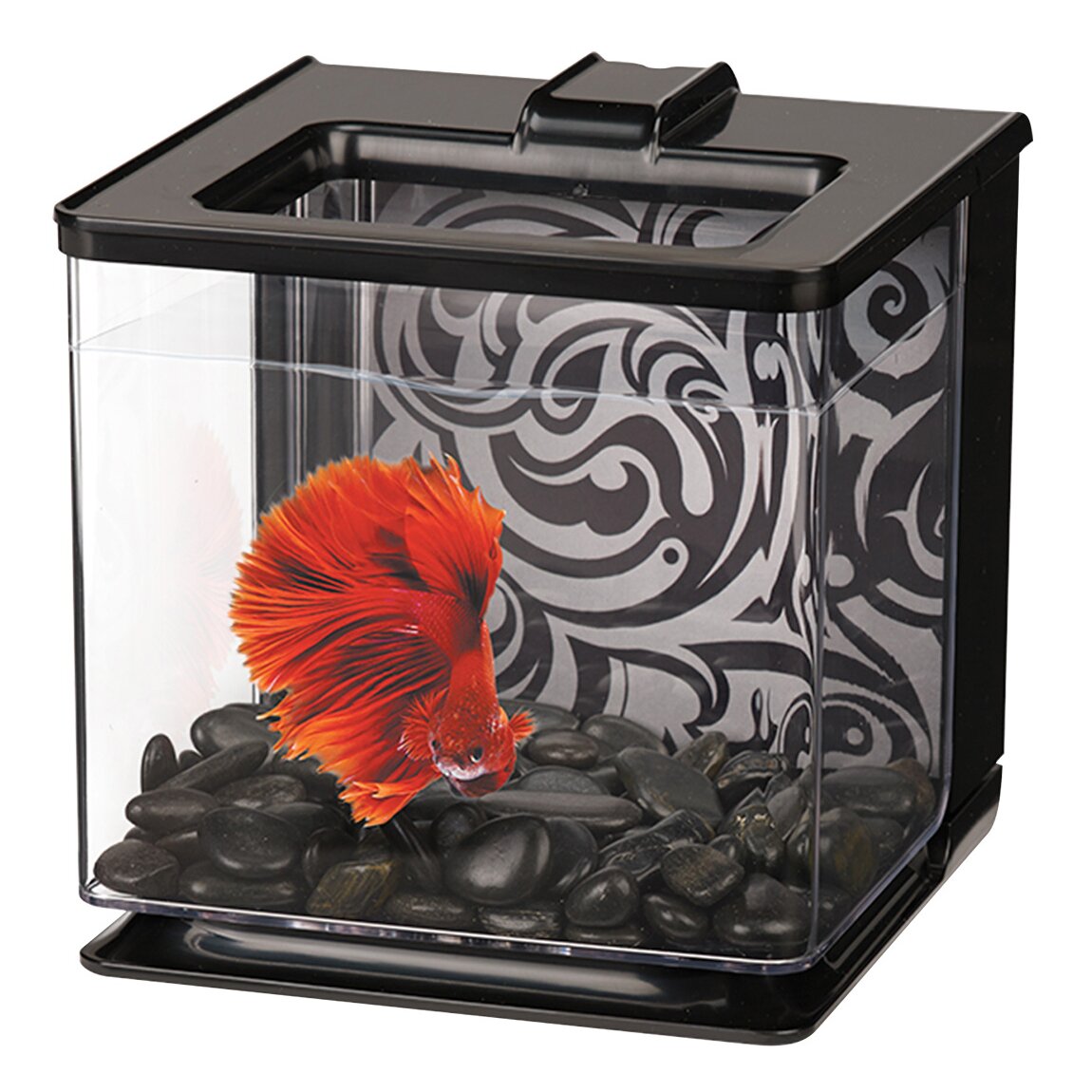 Акваріум Marina «Betta EZ Care» чорний, прямий 16 x 16 x 16 см (2,5 л) Акваріум Marina «Betta EZ Care» чорний, прямий 16 x 16 x 16 см (2,5 л)