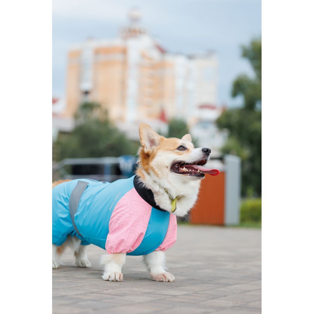 Pet Fashion Milly комбінезон для собак L коргі