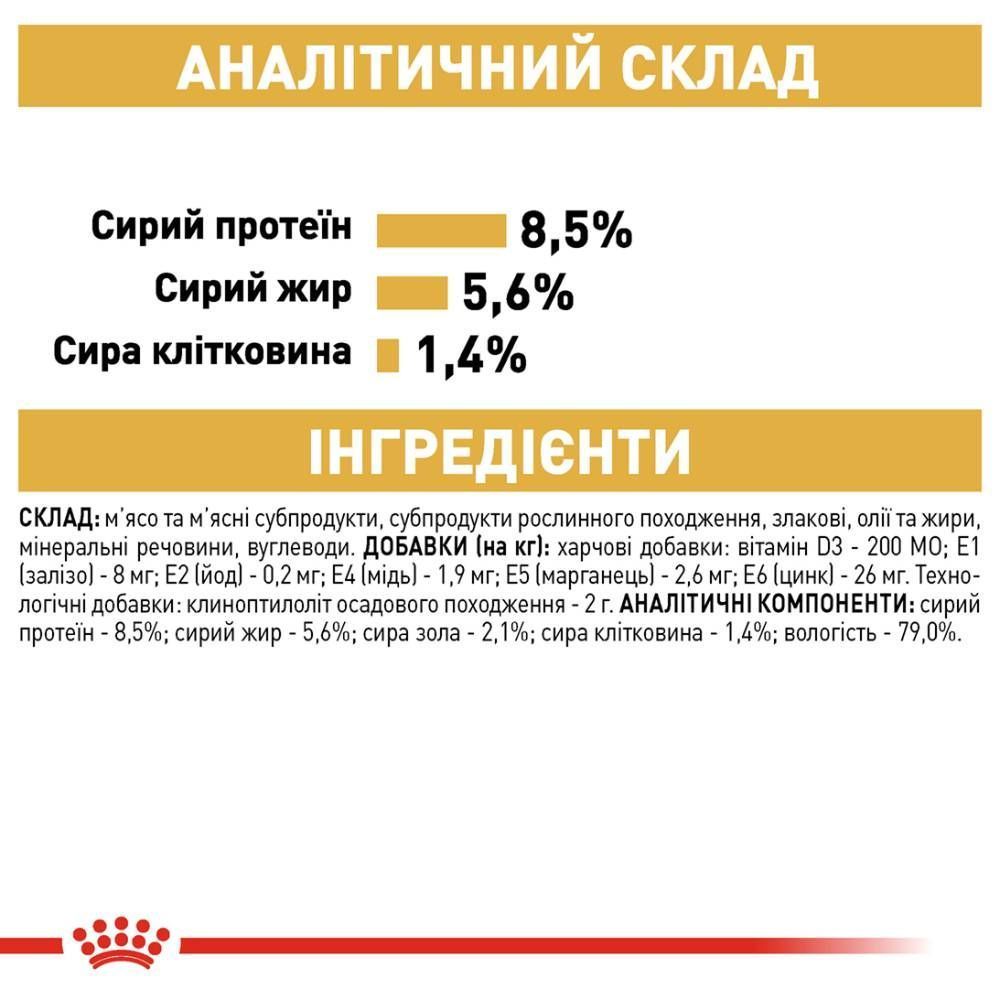 Упаковка влажного корма для собак Royal Canin Chihuahua Adult 9+3 шт. х 85 г