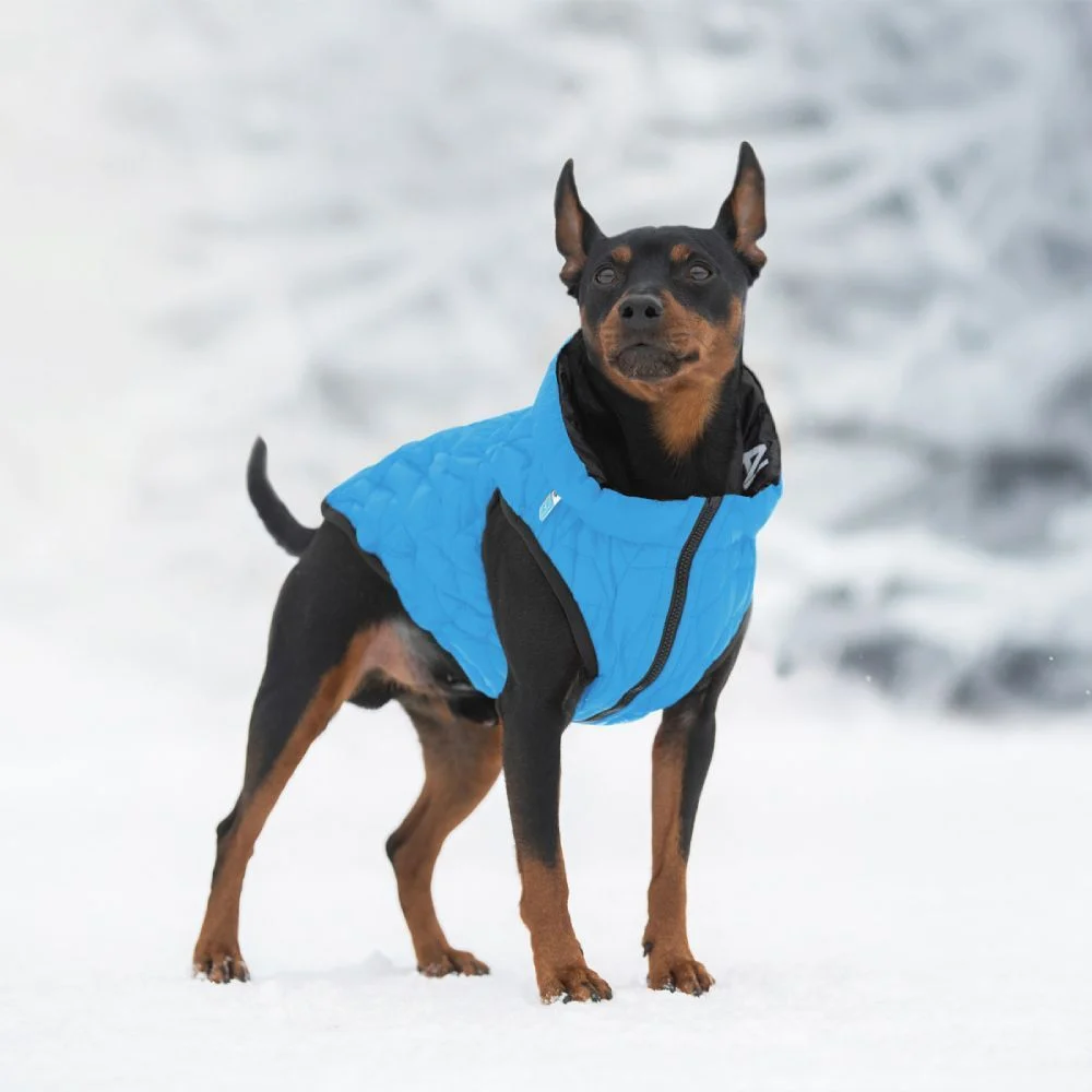 Collar AiryVest UNI куртка для собак XS-28