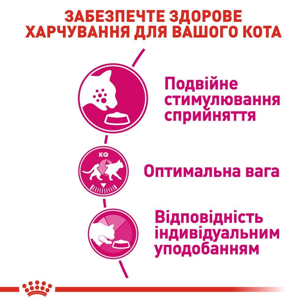 Сухой корм для кошек Royal Canin Savour Exigent 3,2 кг + 800 г Сухой корм для кошек Royal Canin Savour Exigent 3,2 кг + 800 г