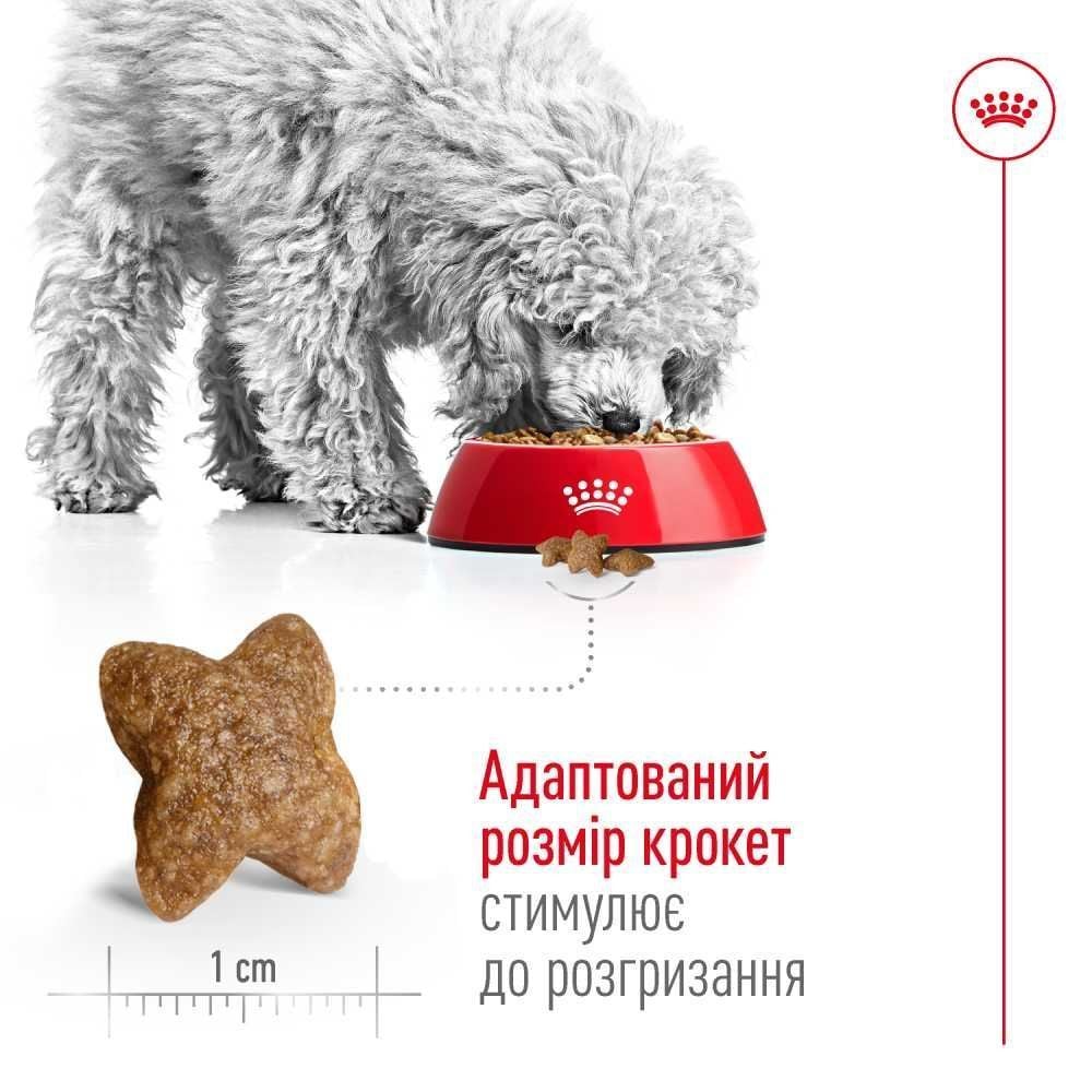 Сухой корм для собак Royal Canin Mini Adult 8 кг + Таблетки Bravecto для собак 4,5-10 кг