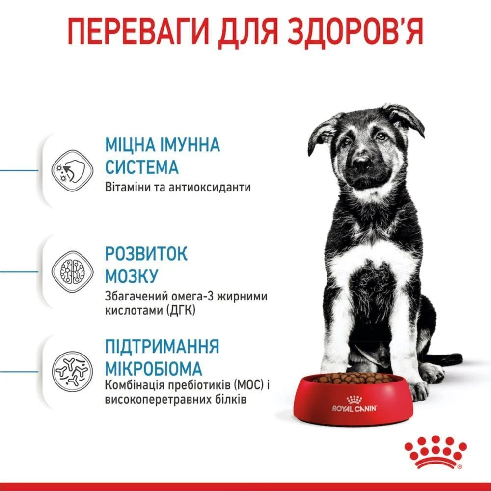 Сухой корм для щенков Royal Canin Maxi Puppy 1 кг Сухой корм для щенков Royal Canin Maxi Puppy 1 кг