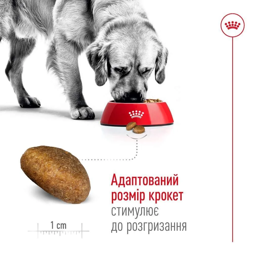 Сухой корм для собак Royal Canin Maxi Adult 3 кг - домашняя птица