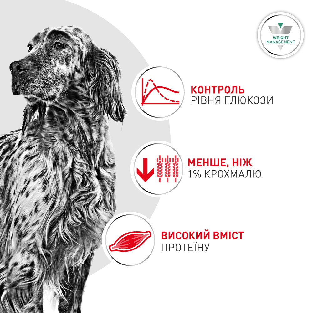 Вологий корм для собак Royal Canin Glycobalance 410 г
