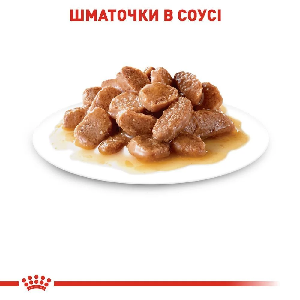 Упаковка вологого корму для котів Royal Canin Instinctive Gravy 3+1 шт х 85 г