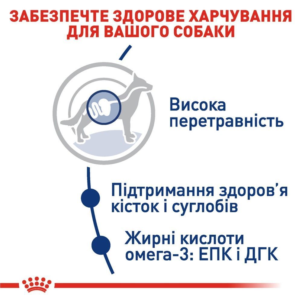 Cухий корм для собак Royal Canin Maxi Adult 3,2 кг + 800 г
