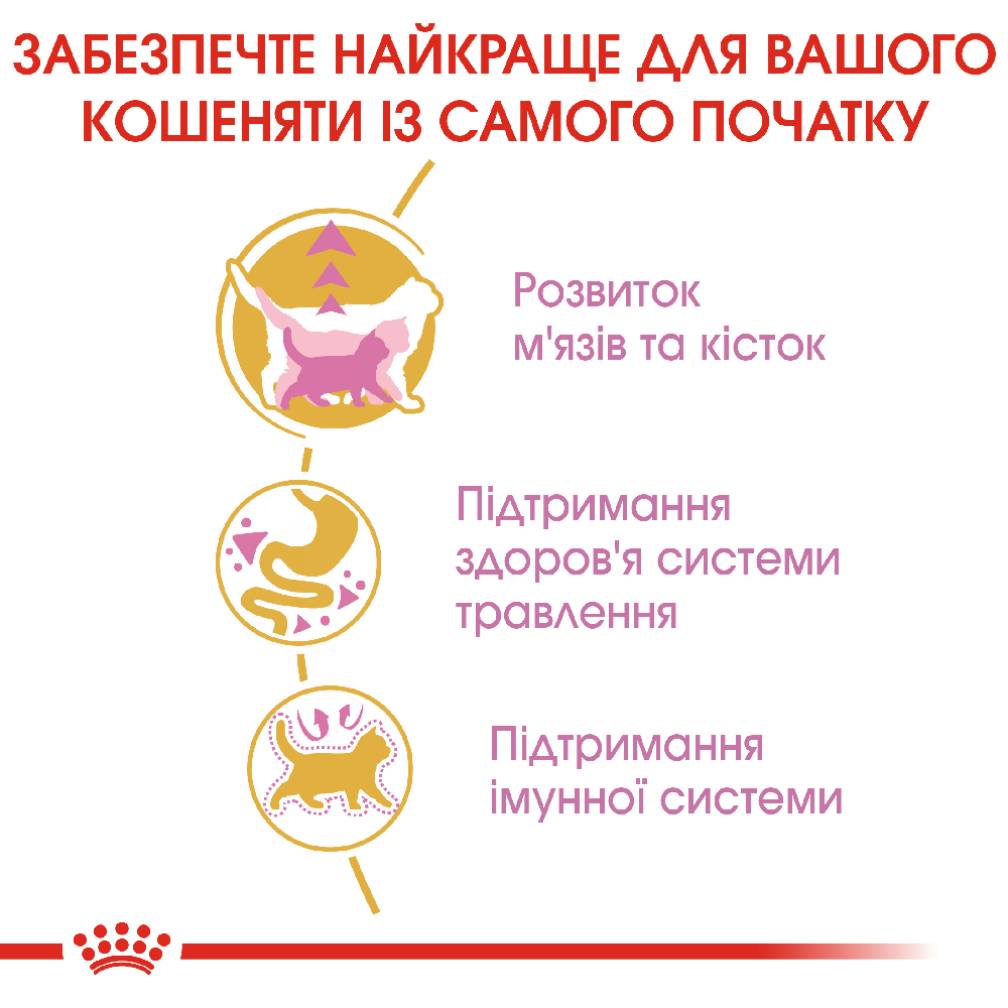 Набор сухого и влажного корма для котят Royal Canin Kitten British Shorthair 2 кг + 4 шт. по 85 г