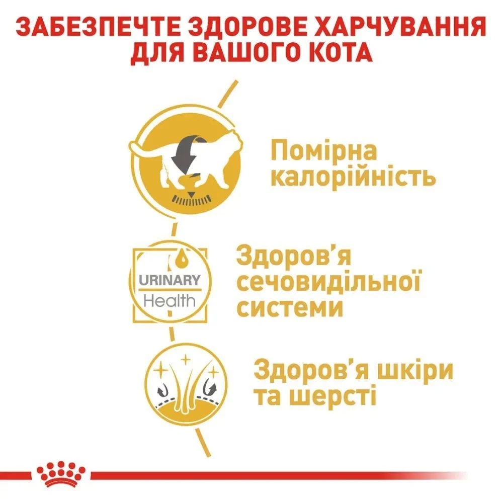 Упаковка вологого корму для котів Royal Canin British Shorthair Adult Gravy pouch 3+1 шт х 85 г Упаковка вологого корму для котів Royal Canin British Shorthair Adult Gravy pouch 3+1 шт х 85 г