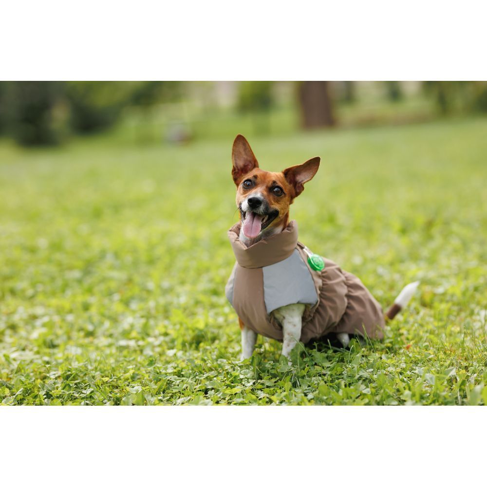 Жилет для собак Pet Fashion Chip S