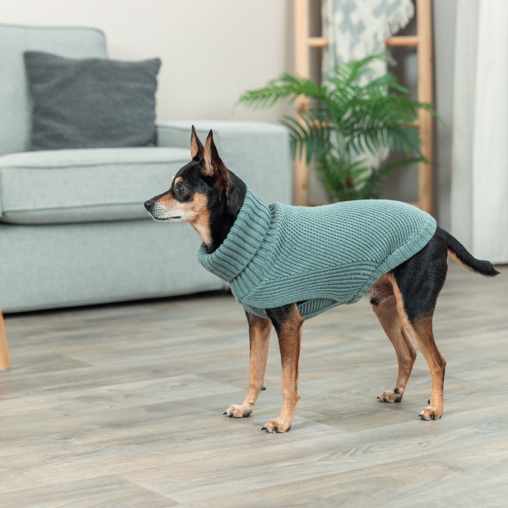 Светр для собак Trixie CityStyle Berlin XS - зелений
