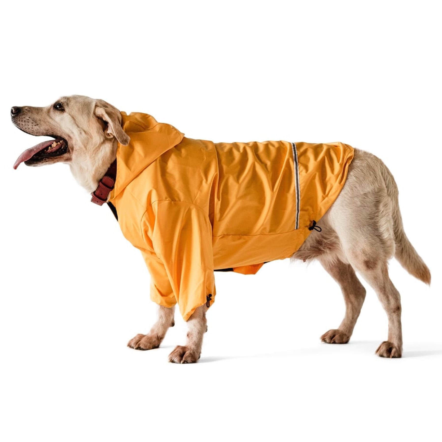 Noble Pet Moss дощовик для собак 2XL жовтий Noble Pet Moss дощовик для собак 2XL жовтий
