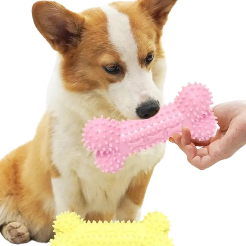 Pet Fun Кісточка іграшка для собак 12х6 см - колір в асортименті
