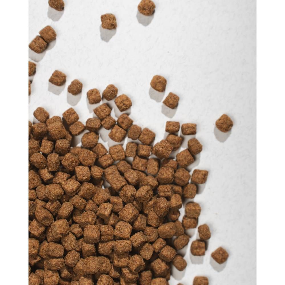 Сухой корм для кошек Half&Half Sensitive Digestion 300 г — индейка + лакомства для кошек Half&Half Meaty Stick 5 г — индейка Сухой корм для кошек Half&Half Sensitive Digestion 300 г — индейка + лакомства для кошек Half&Half Meaty Stick 5 г — индейка