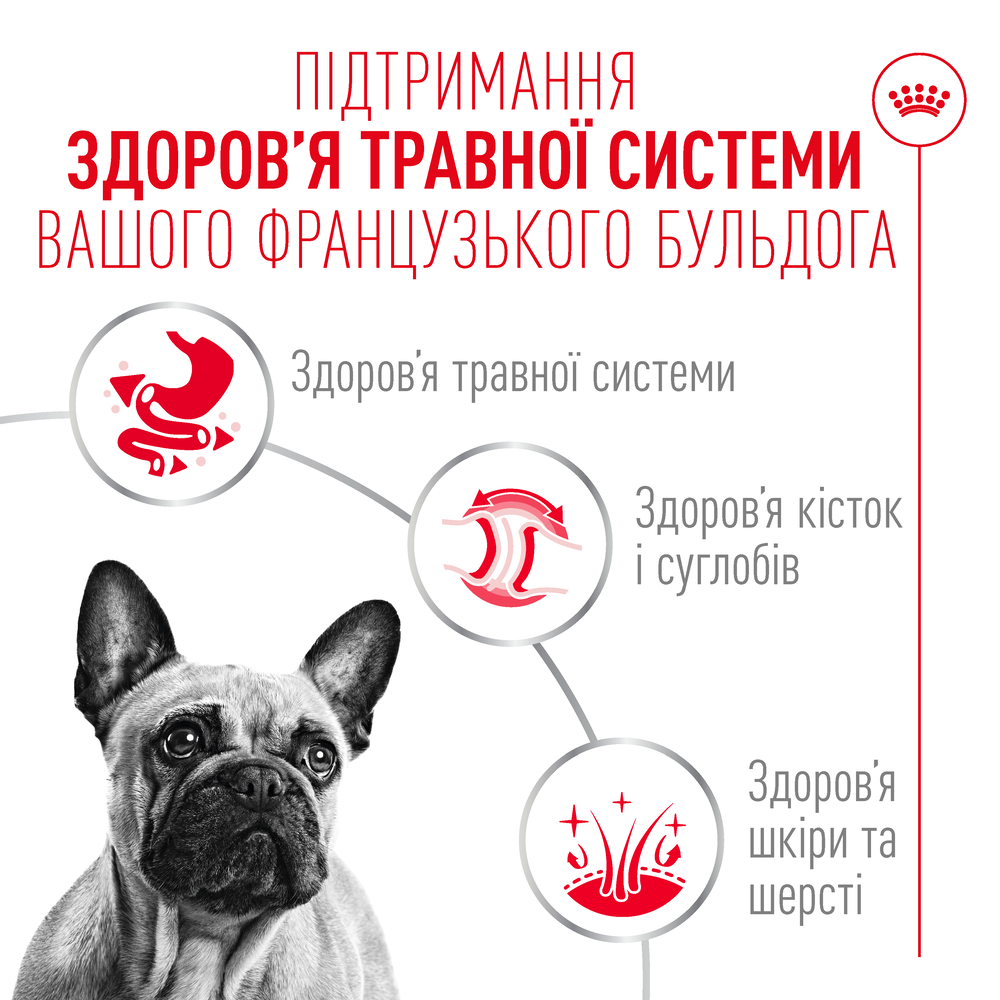 Вологий корм для собак Royal Canin French Bulldog Adult 85 г