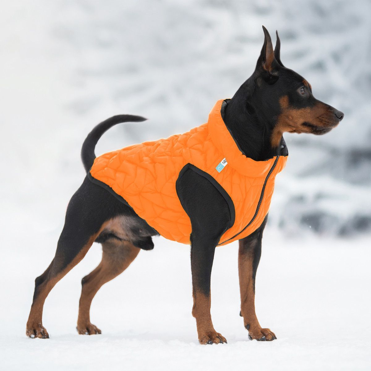 Collar AiryVest UNI куртка для собак M-48