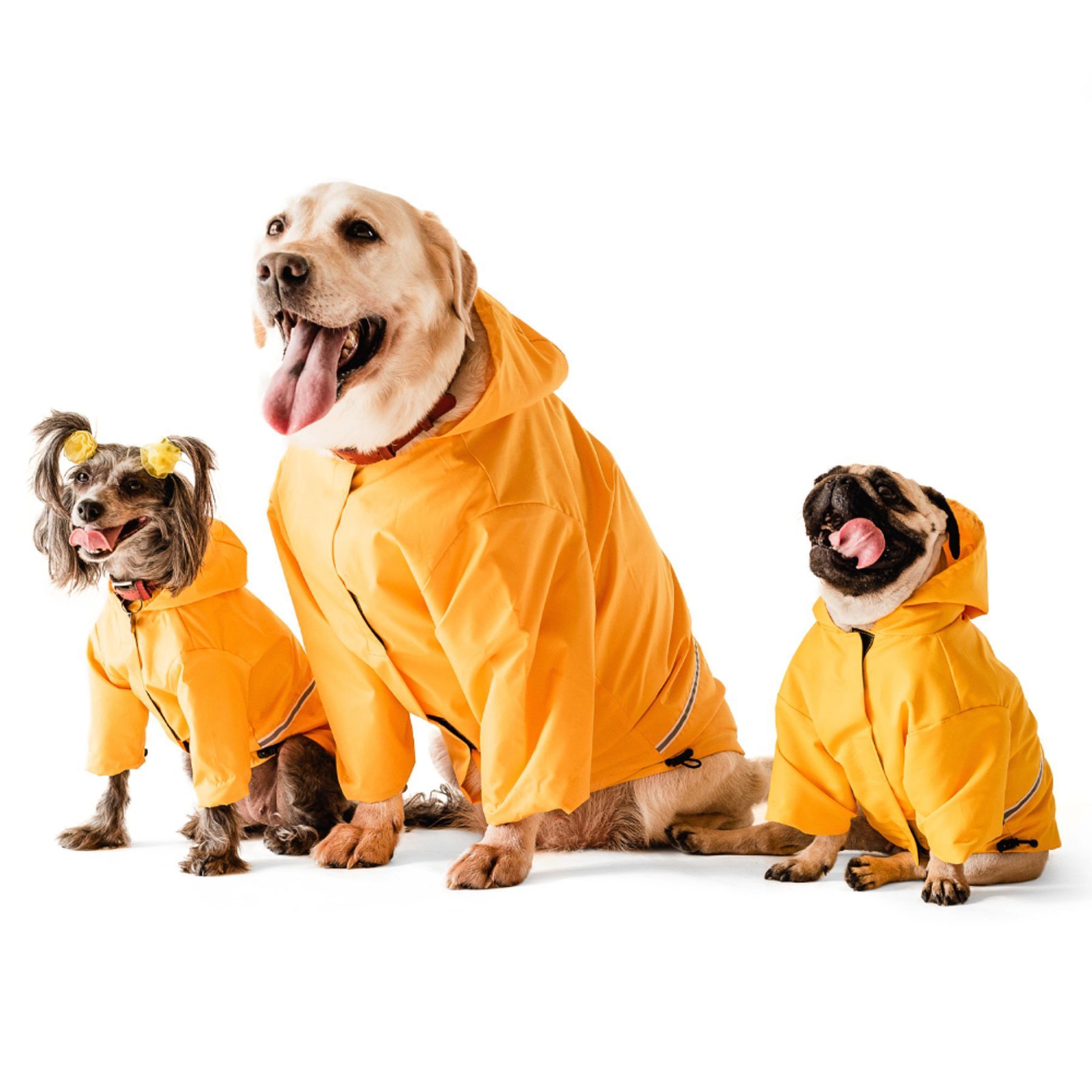 Noble Pet Moss дощовик для собак 2XL жовтий Noble Pet Moss дощовик для собак 2XL жовтий