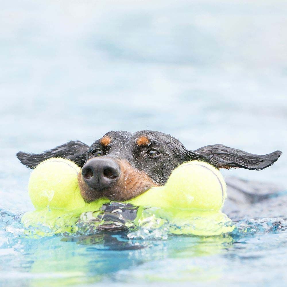 Kong AirDog Squeaker Bone іграшка для собак M 15,9 см - жовтий Kong AirDog Squeaker Bone іграшка для собак M 15,9 см - жовтий