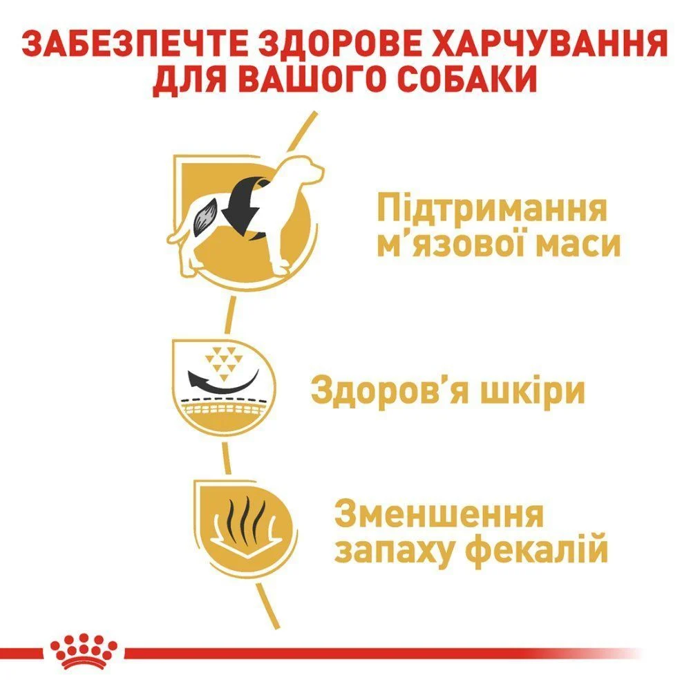Сухой корм для собак Royal Canin French Bulldog Adult 1,5 кг Сухой корм для собак Royal Canin French Bulldog Adult 1,5 кг