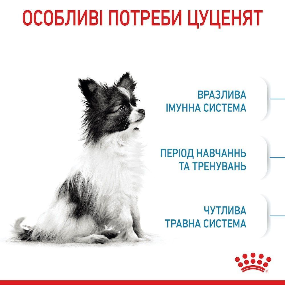 Сухой корм для щенков Royal Canin Puppy X-Small 1,2 кг