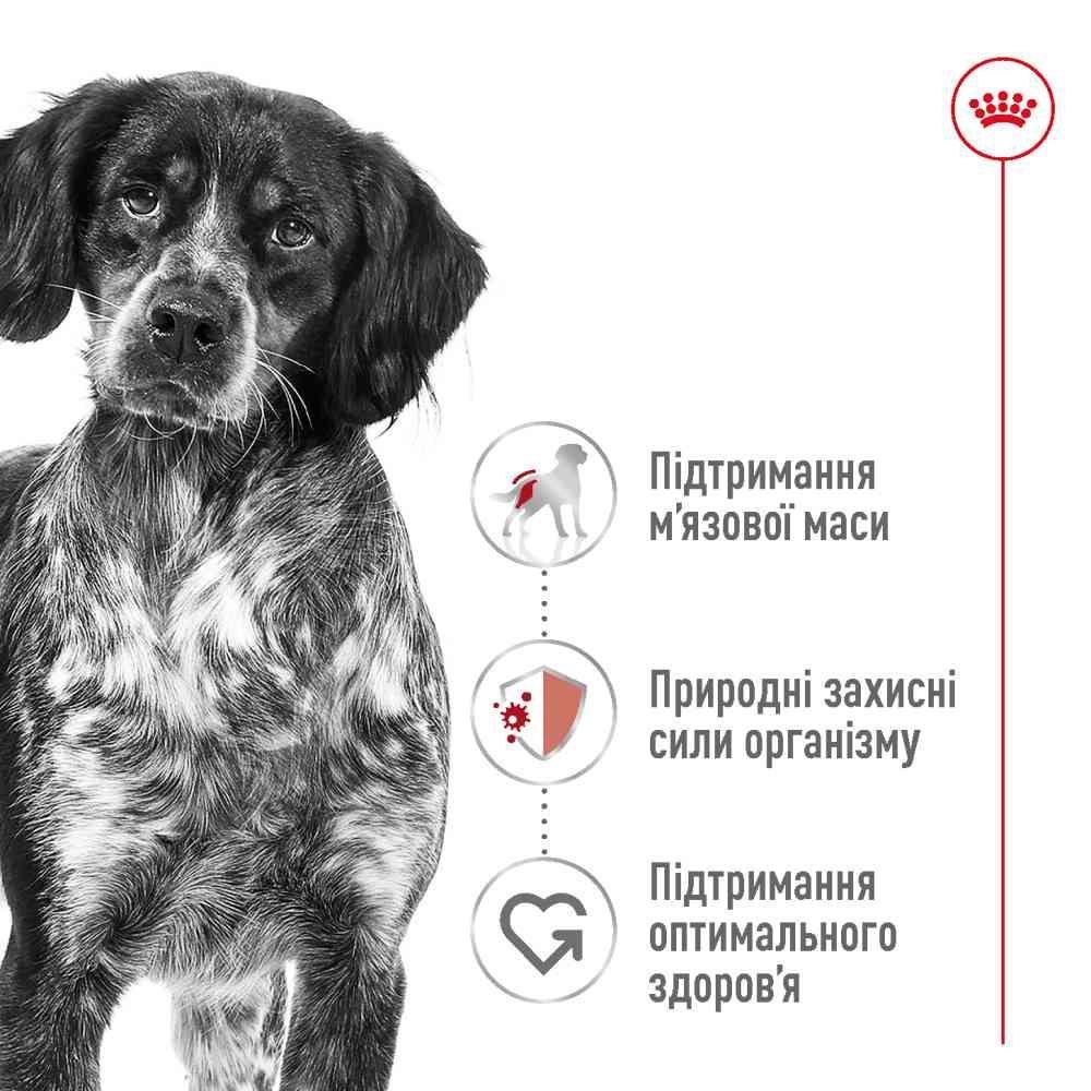 Сухий корм для собак Royal Canin Medium Adult 3 кг - домашня птиця Сухий корм для собак Royal Canin Medium Adult 3 кг - домашня птиця