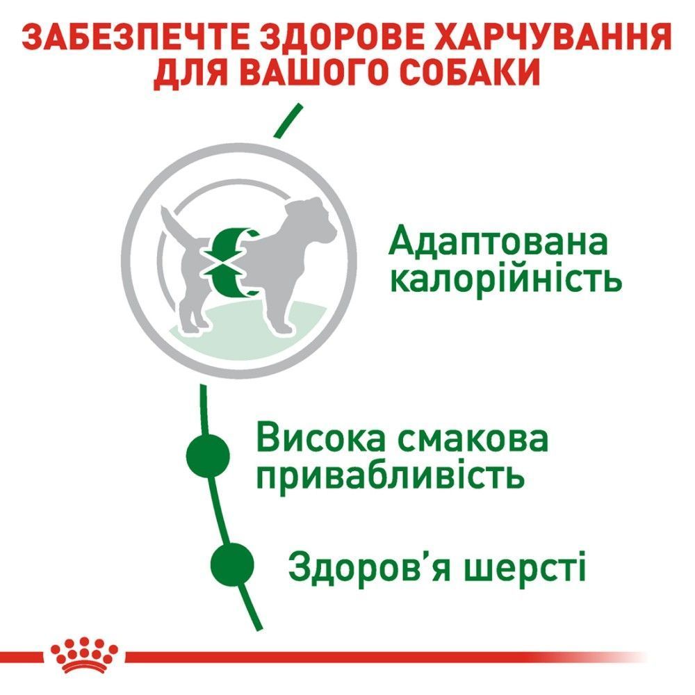 Сухой корм для собак Royal Canin Mini Adult 7+1 кг