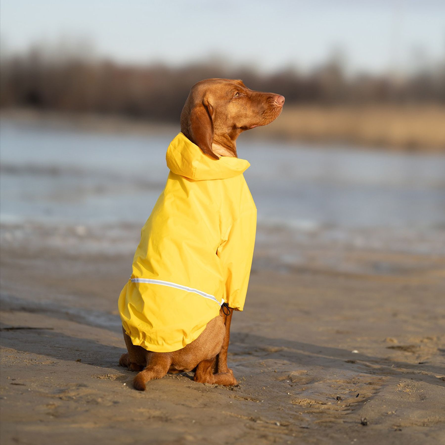 Noble Pet Moss дощовик для собак 2XL жовтий Noble Pet Moss дощовик для собак 2XL жовтий