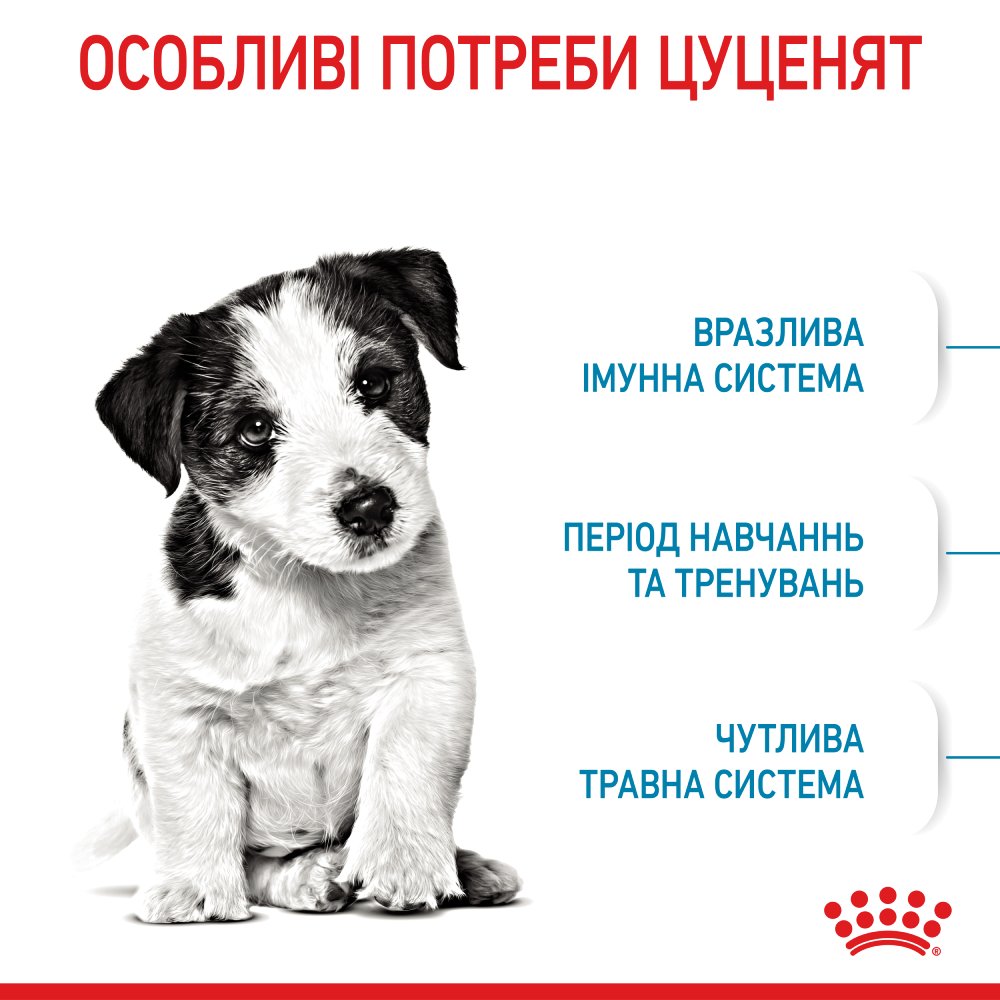 Набір сухого та вологого корму для цуценят Royal Canin Mini Puppy 2 кг + 4 шт х 85 г