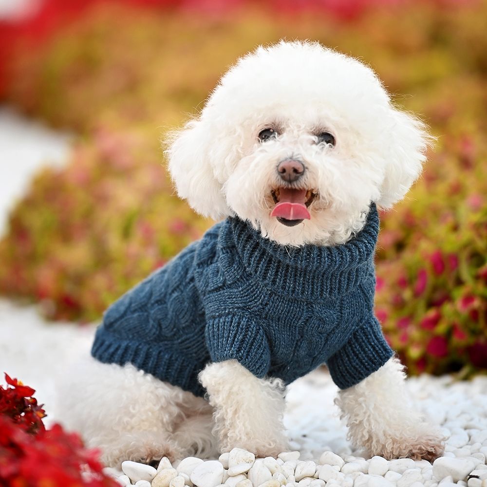 Noble Pet Antony светр для собак XS