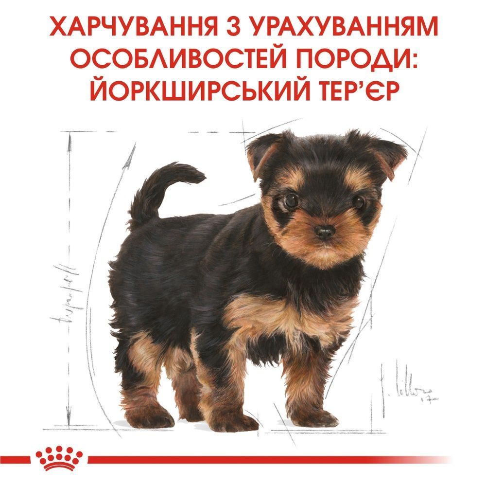 Сухой корм для щенков Royal Canin Puppy Yorkshire Terrier 1,2 кг