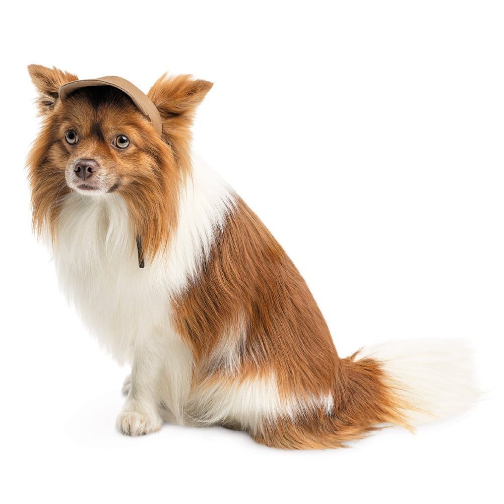 Pet Fashion Phil кепка для собак XL Pet Fashion Phil кепка для собак XL