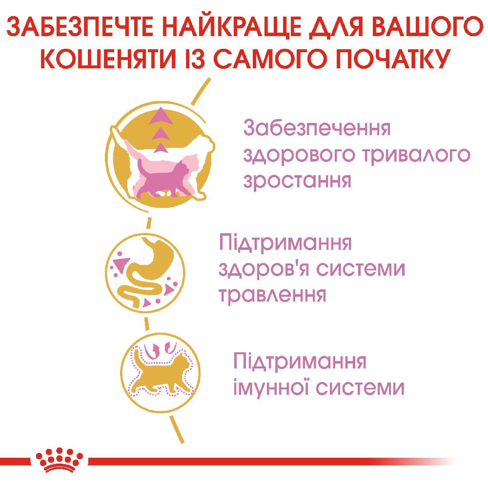 Набор сухого и влажного корма для котят Royal Canin Kitten Maine Coon 2 кг + 4 шт. по 85 г