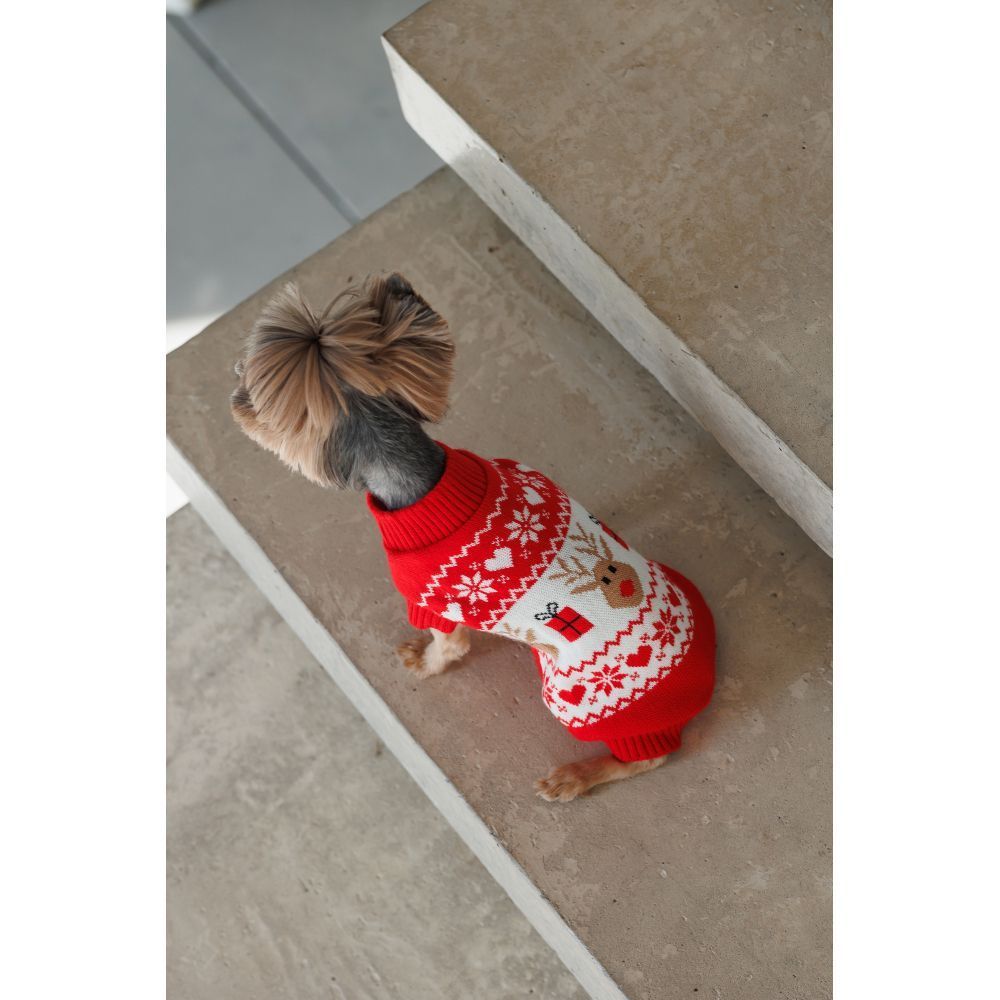 Светр для собак Pet Fashion Winter XS