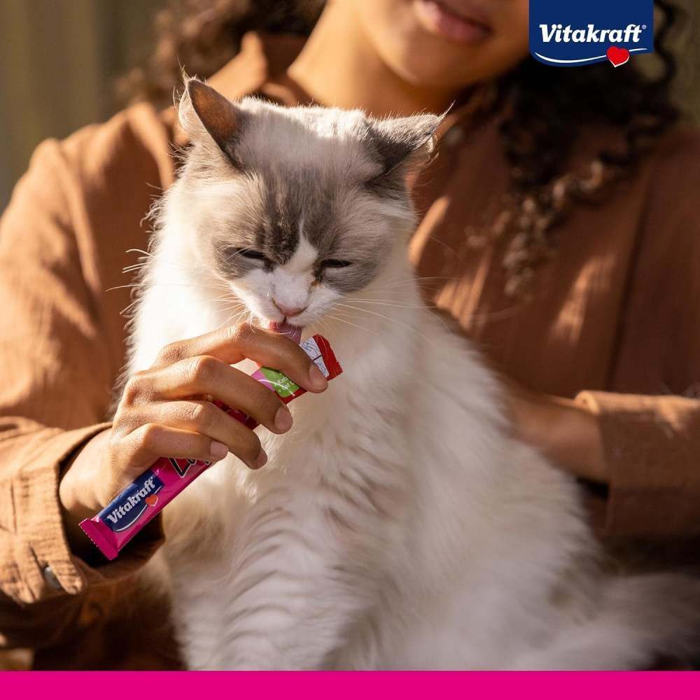 Ласощі для котів Vitakraft Liquid Snack 15 г - ліверна ковбаса Ласощі для котів Vitakraft Liquid Snack 15 г - ліверна ковбаса