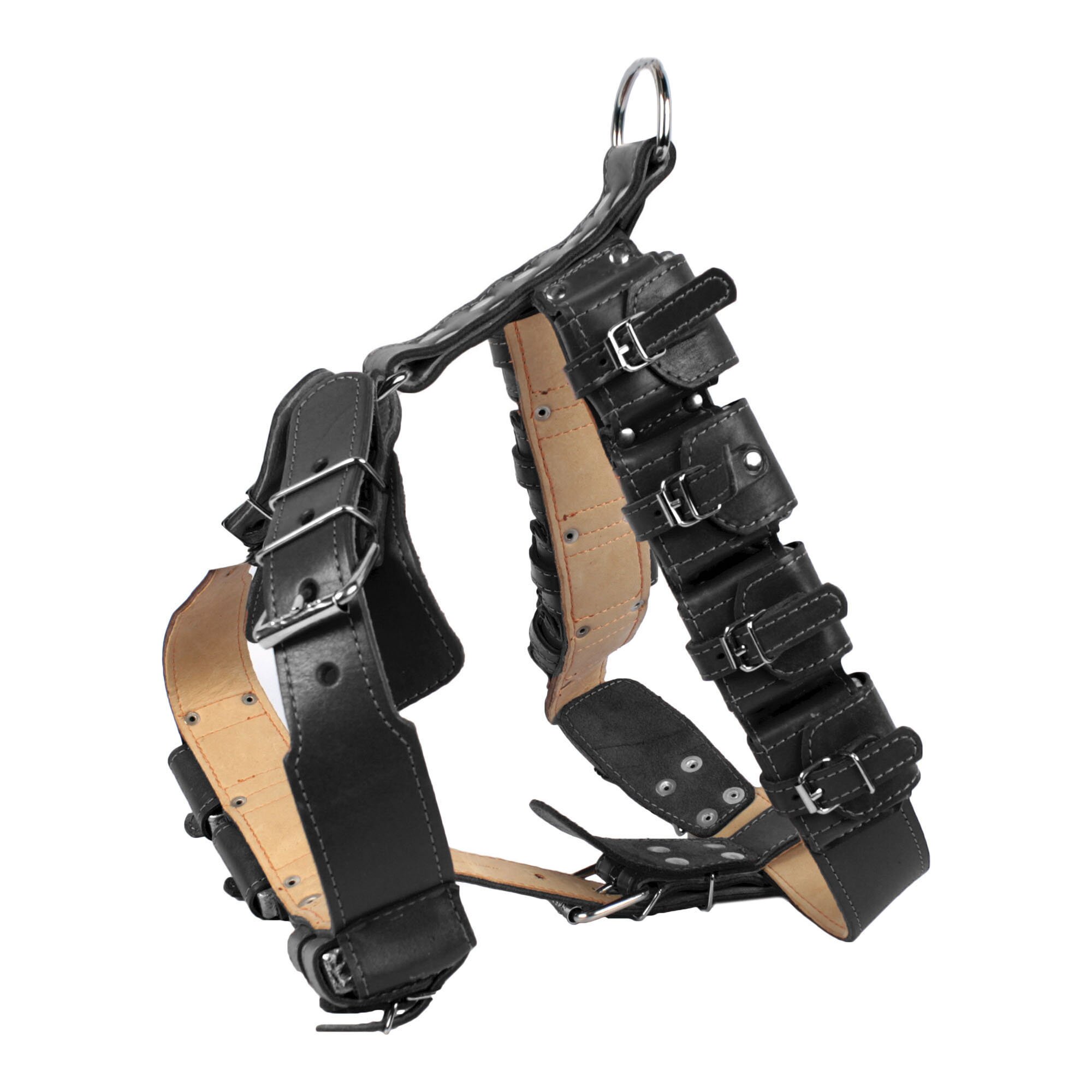 Шлейка с утяжелителями Collar кожаная А:60-78 см / В:72-81 см / 45 мм (черная) Шлейка с утяжелителями Collar кожаная А:60-78 см / В:72-81 см / 45 мм (черная)