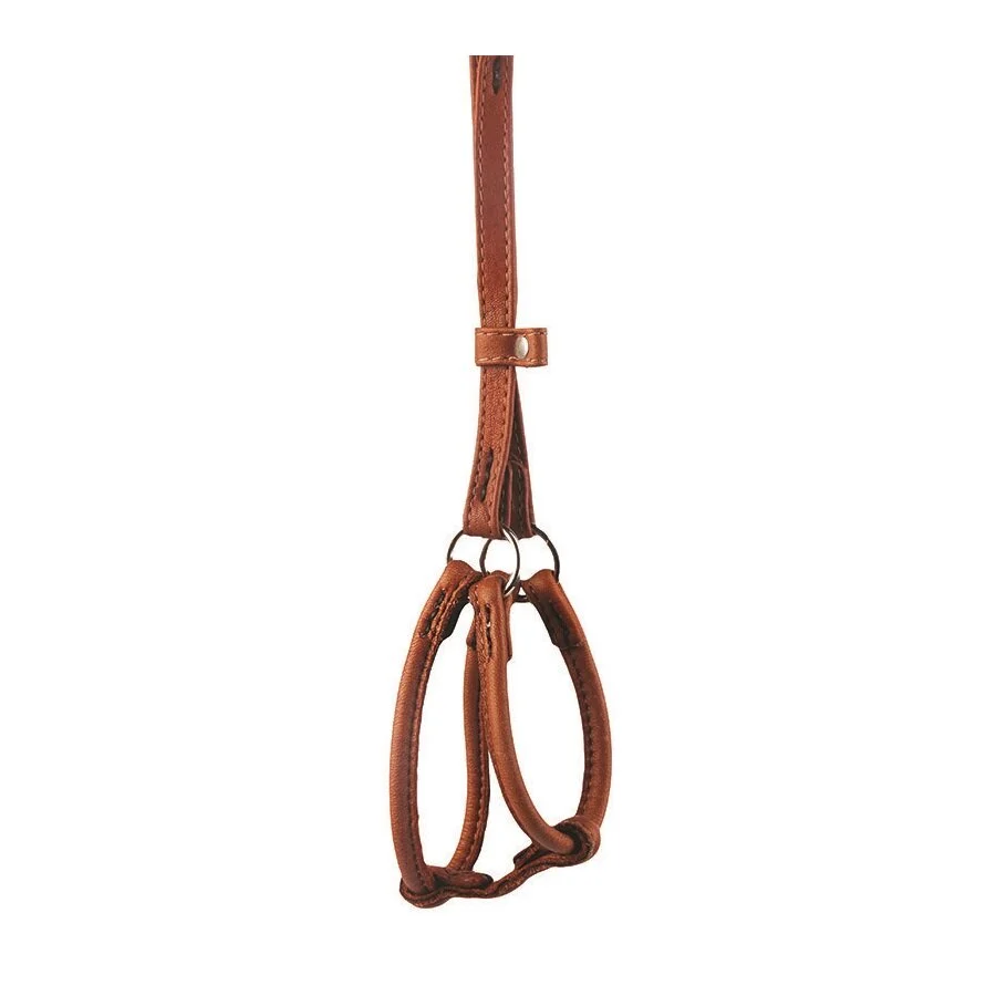 Шлейка с поводком Collar кожаная круглая «Soft» (Софт) №2, А:42-60 см / В:46-64 см / 90 см / 6 мм (коричневая)