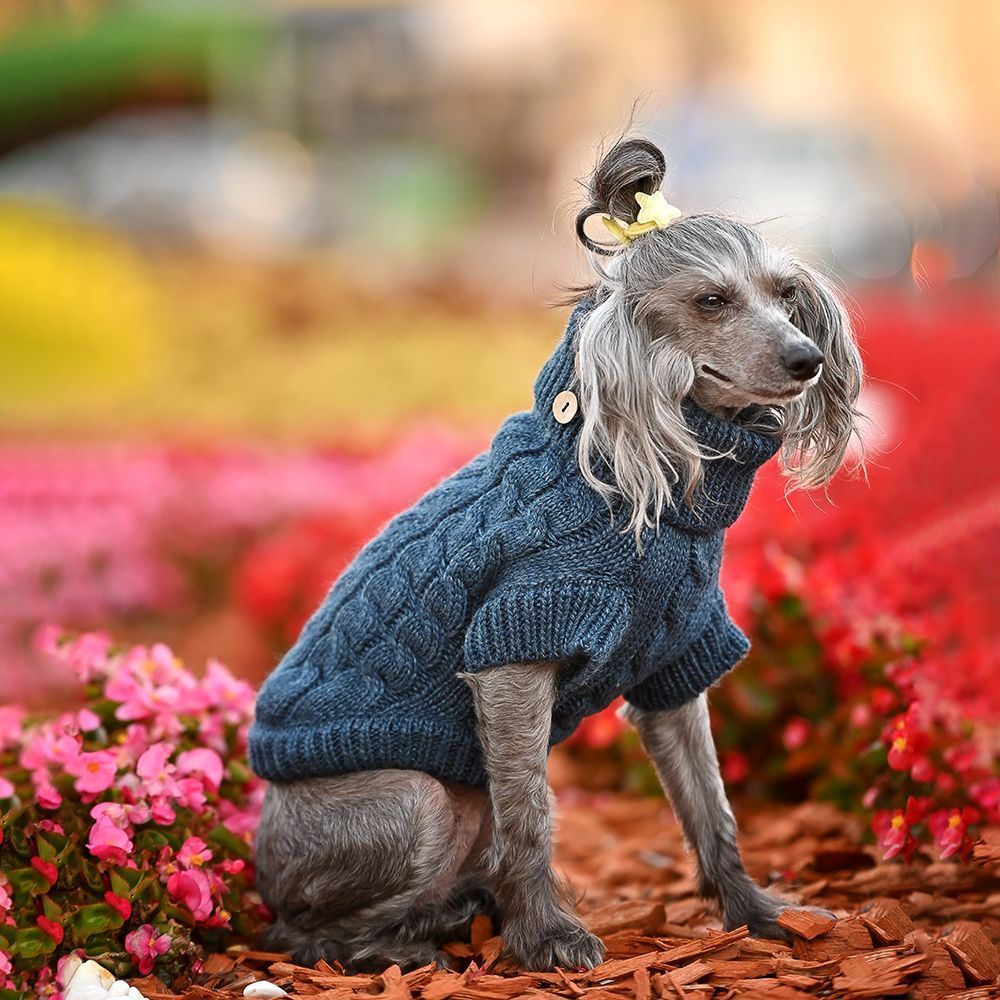 Noble Pet Antony светр для собак XS