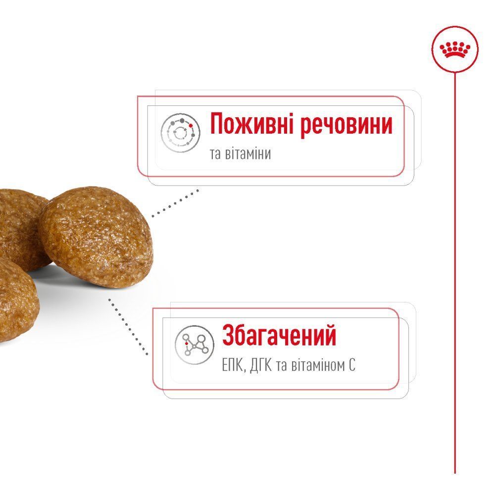 Cухий корм для собак Royal Canin X-Small Adult 1,5 кг + 500 г