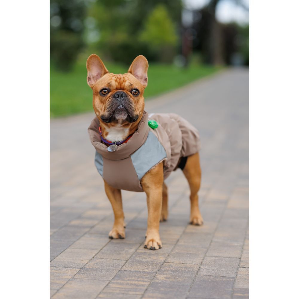 Жилет для собак Pet Fashion Chip S