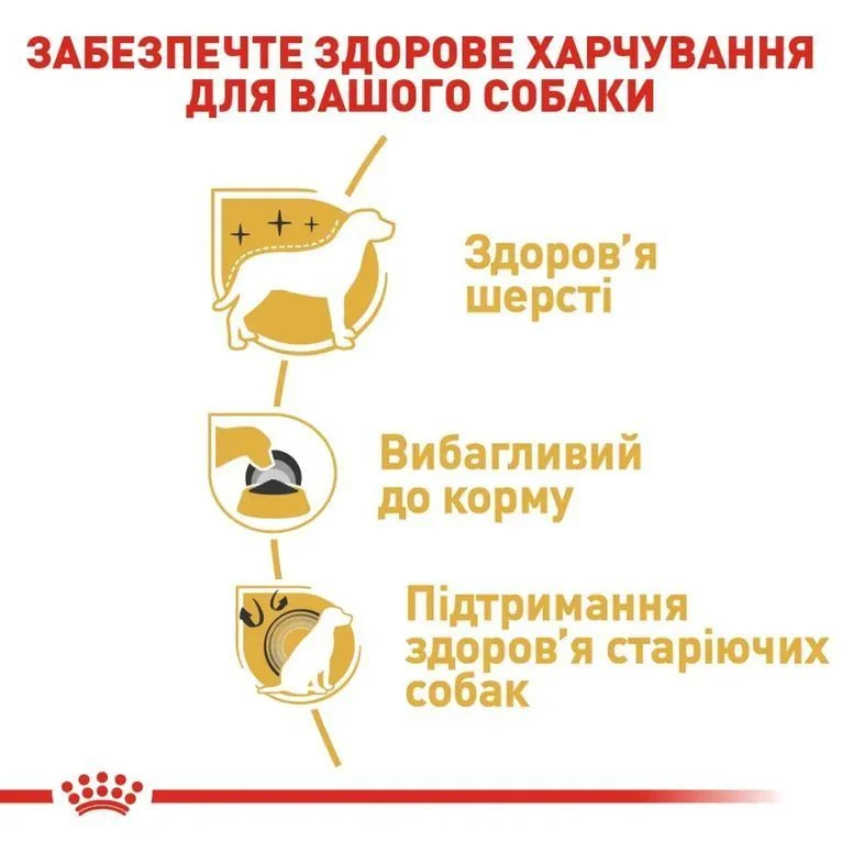 Набор сухого и влажного корма для собак Royal Canin Yorkshire Terrier Adult 1,5 кг + 4 шт. по 85 г Набор сухого и влажного корма для собак Royal Canin Yorkshire Terrier Adult 1,5 кг + 4 шт. по 85 г