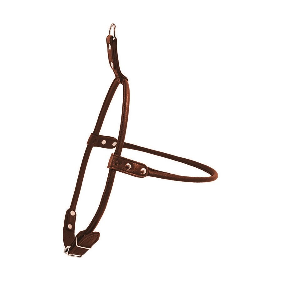 Шлейка Collar кожаная круглая «Soft» (Софт) №3, 60 см / 10 мм (коричневая, черная) Шлейка Collar кожаная круглая «Soft» (Софт) №3, 60 см / 10 мм (коричневая, черная)