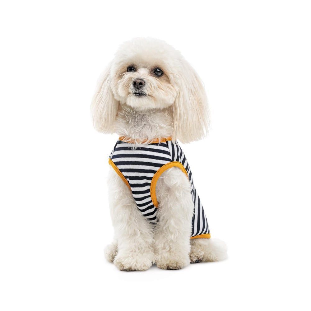 Pet Fashion Kale борцівка для собак L - різнокольорова Pet Fashion Kale борцівка для собак L - різнокольорова