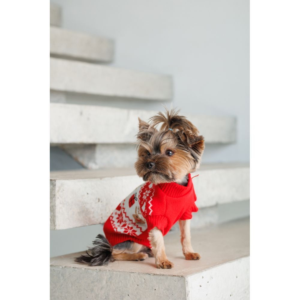 Светр для собак Pet Fashion Winter XS