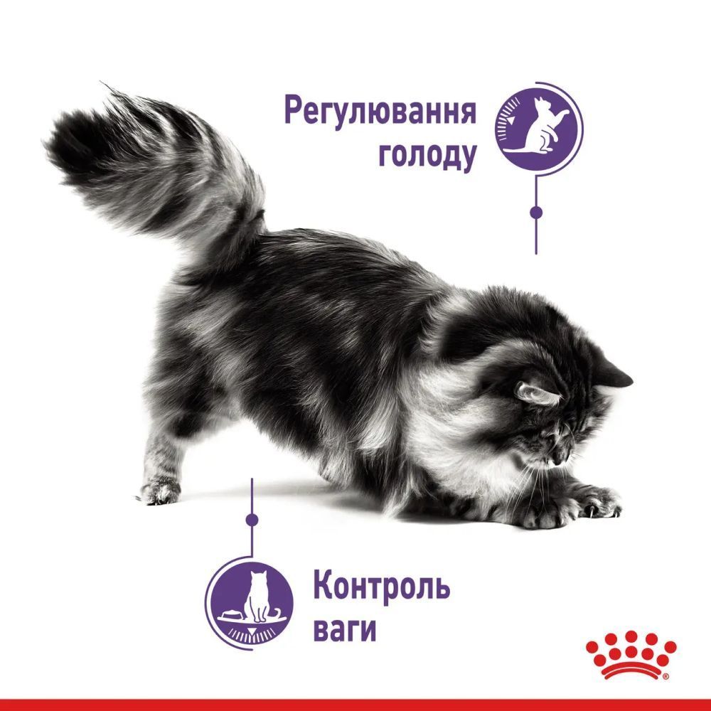 Влажный корм для кошек Royal Canin Appetite Control Gravy pouch 85 г