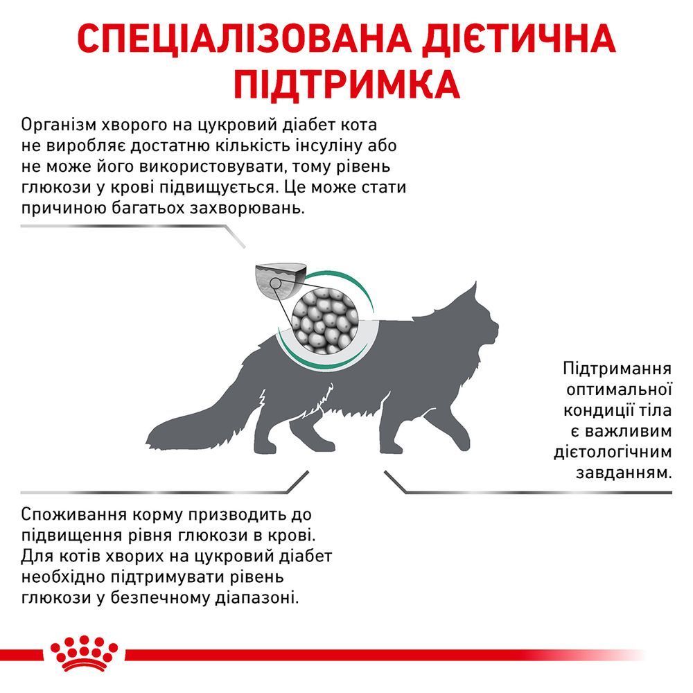 Сухий корм для котів Royal Canin Diabetic 400 г Сухий корм для котів Royal Canin Diabetic 400 г